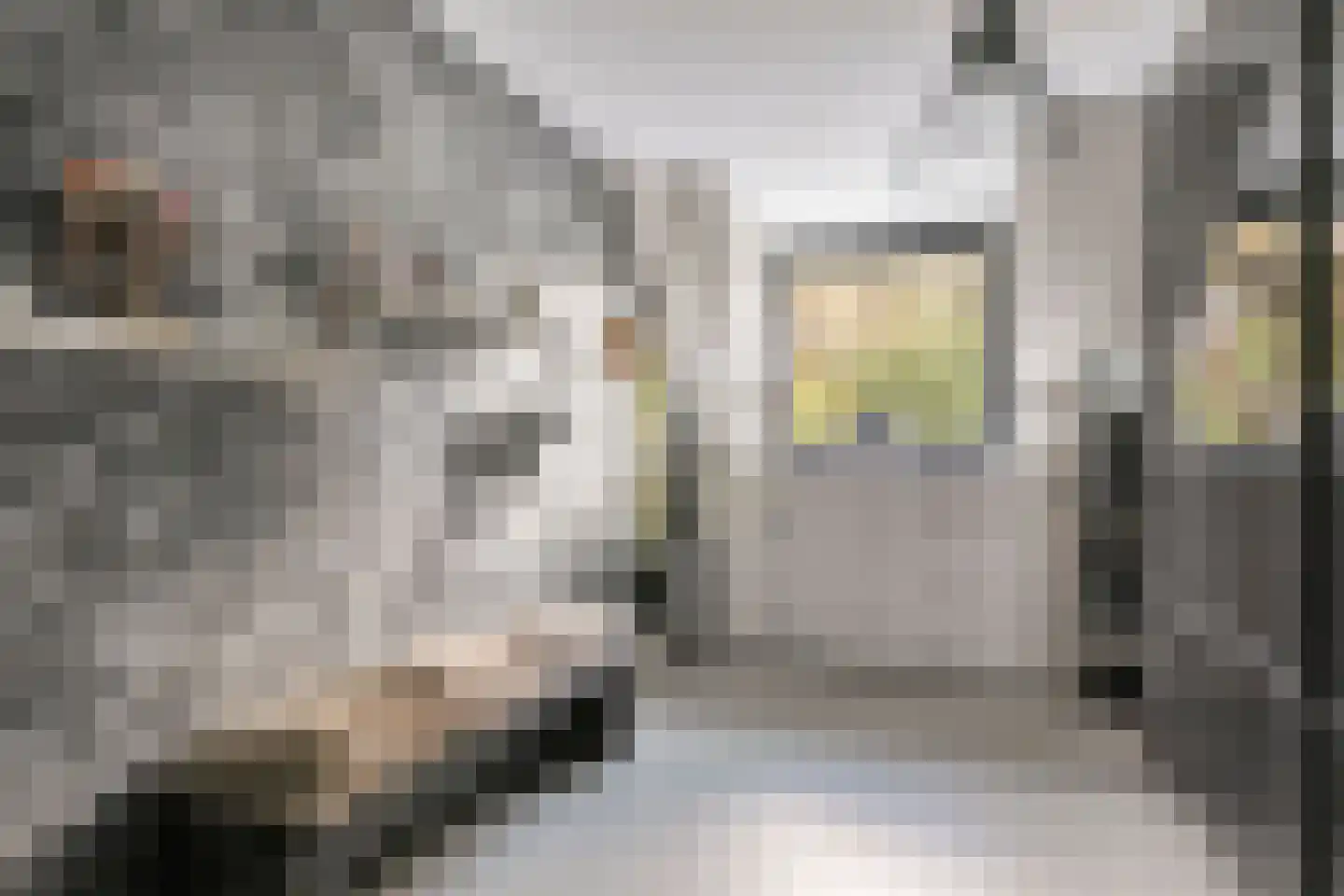 Sassendreef 16 A Geffen thumbnail 43