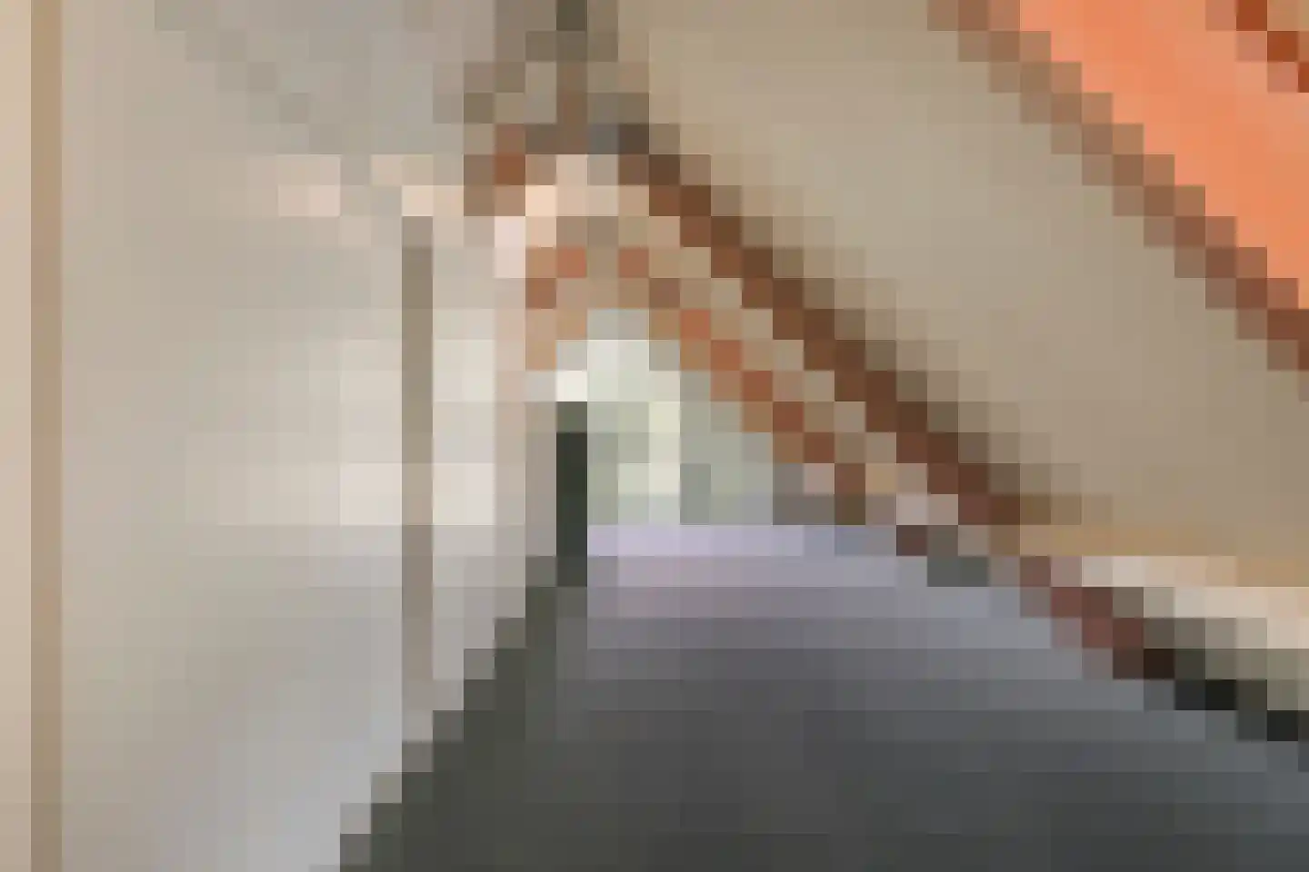 Sassendreef 16 A Geffen thumbnail 47