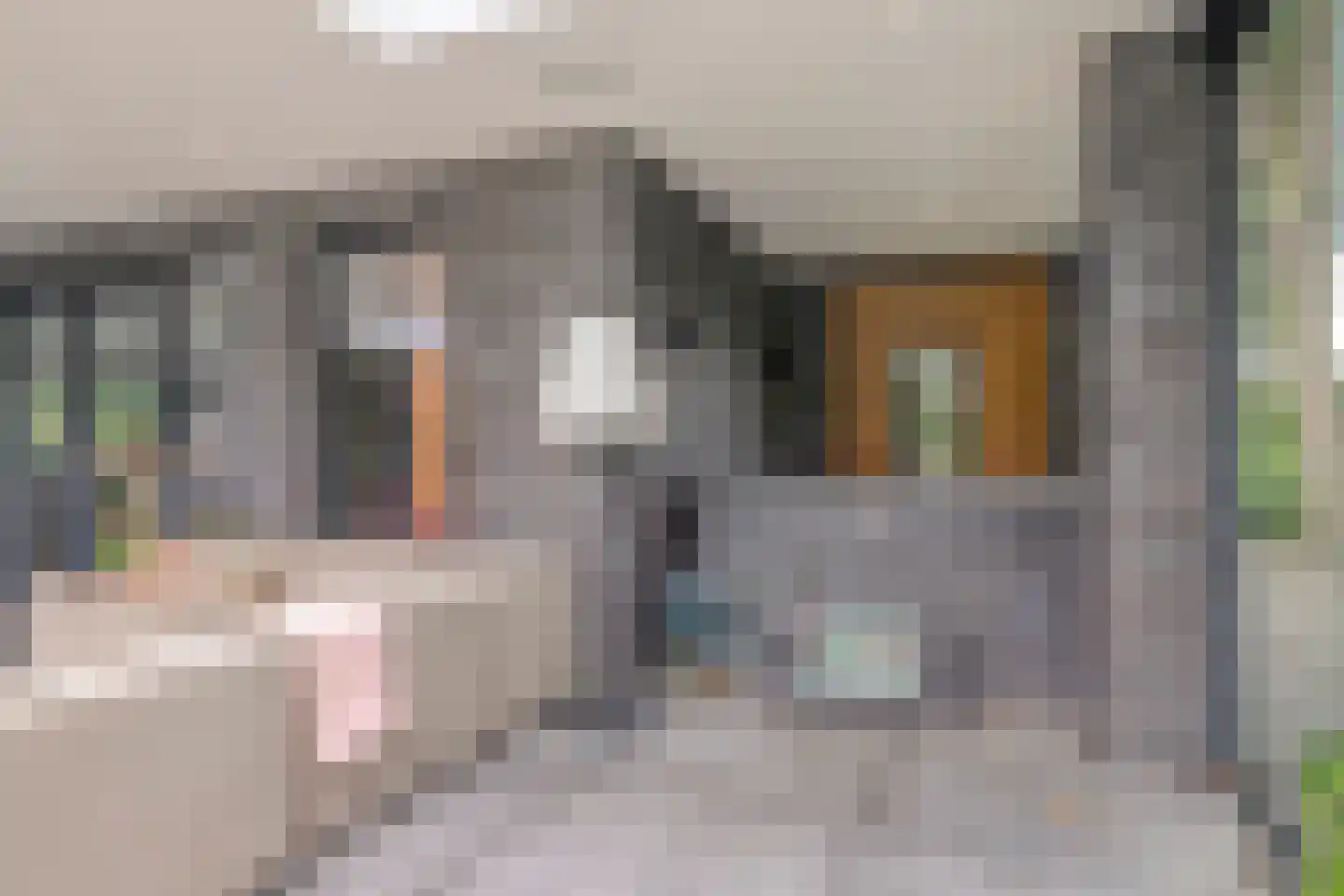 Sassendreef 16 A Geffen thumbnail 60