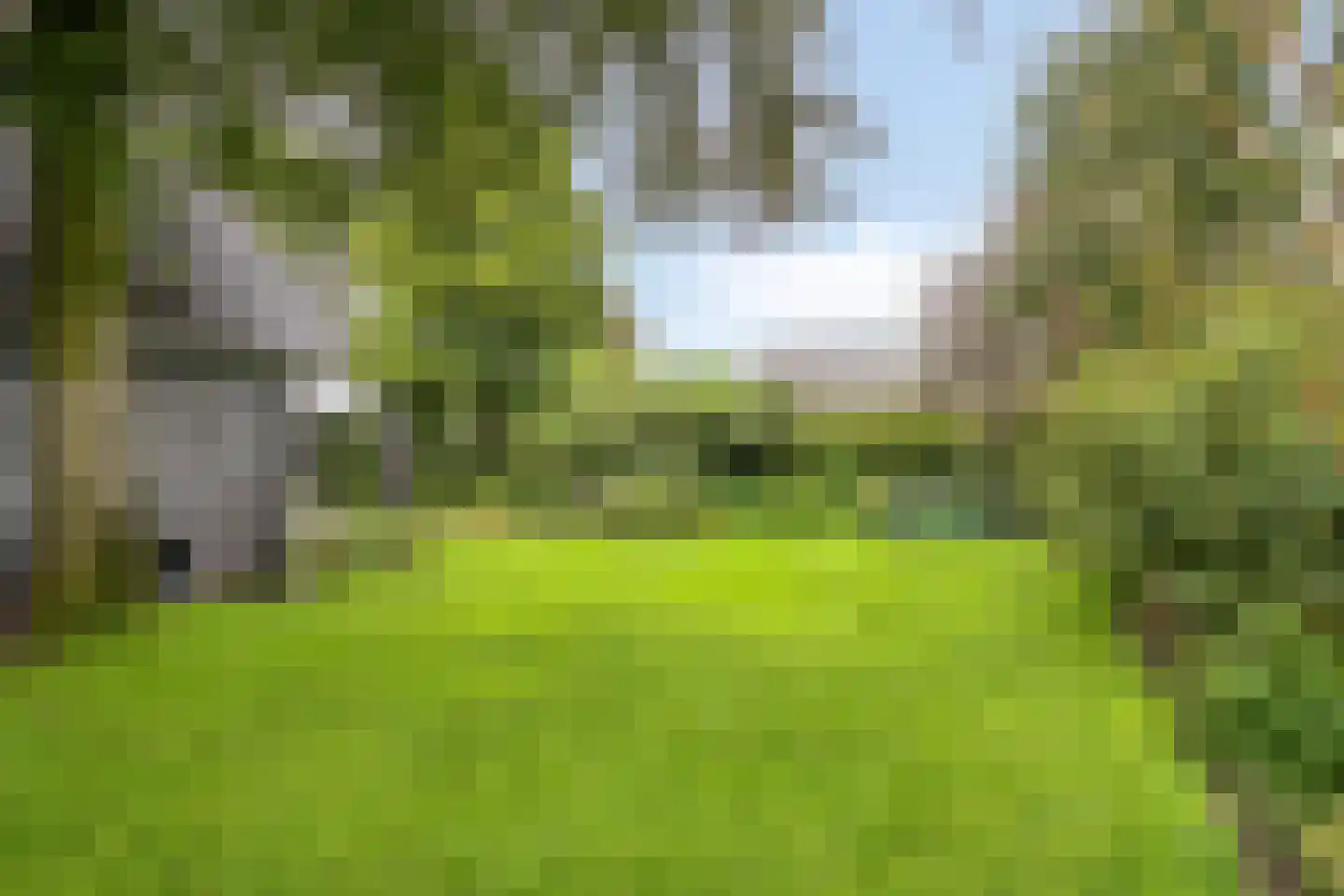 Sassendreef 16 A Geffen thumbnail 64