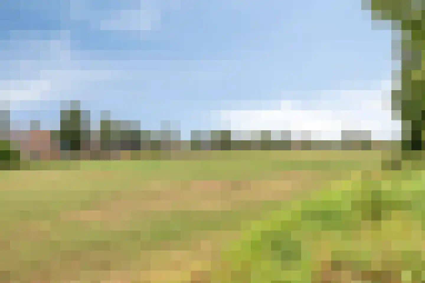 Sassendreef 16 A Geffen thumbnail 71