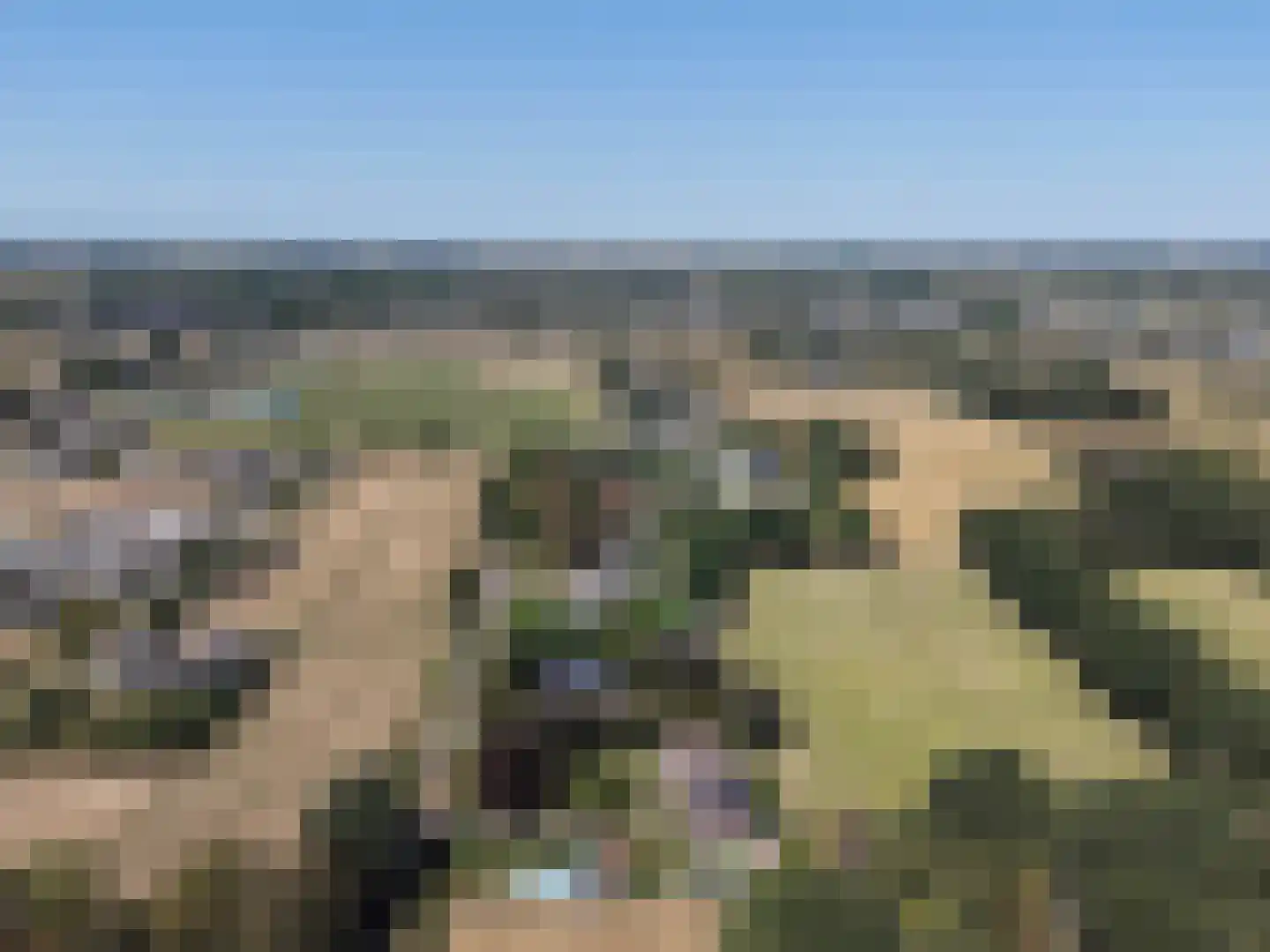 Sassendreef 16 A Geffen thumbnail 83