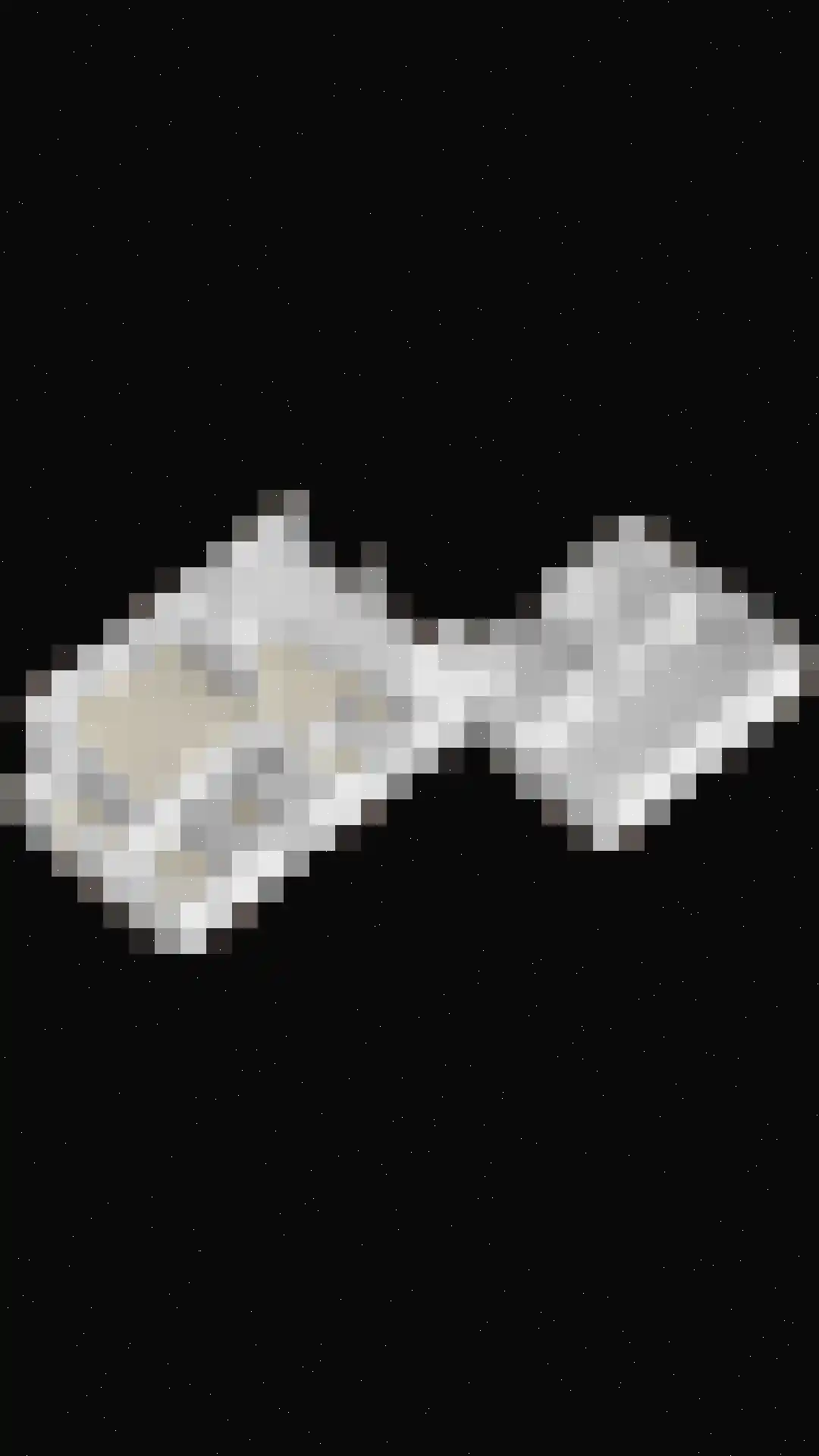 Sassendreef 16 A Geffen thumbnail 88