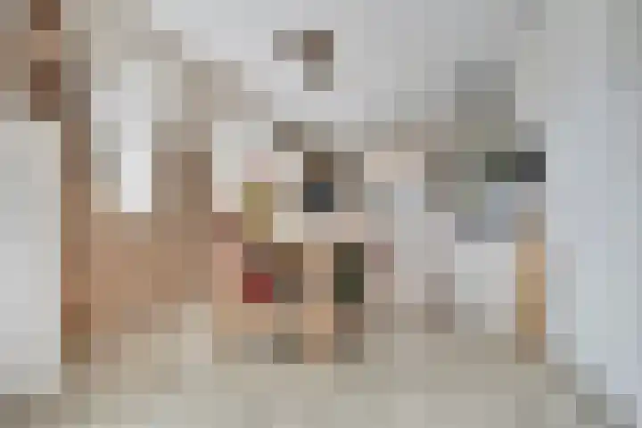 Sassenheimseweg 29 F Berlicum thumbnail 11