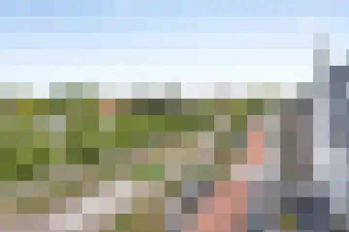 Sassenheimseweg 29 F Berlicum thumbnail 17