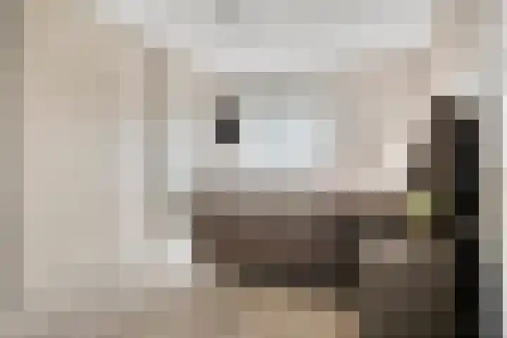 Sassenheimseweg 29 F Berlicum thumbnail 22