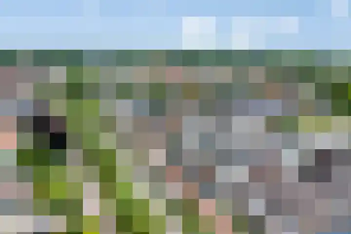 Sassenheimseweg 29 F Berlicum thumbnail 35