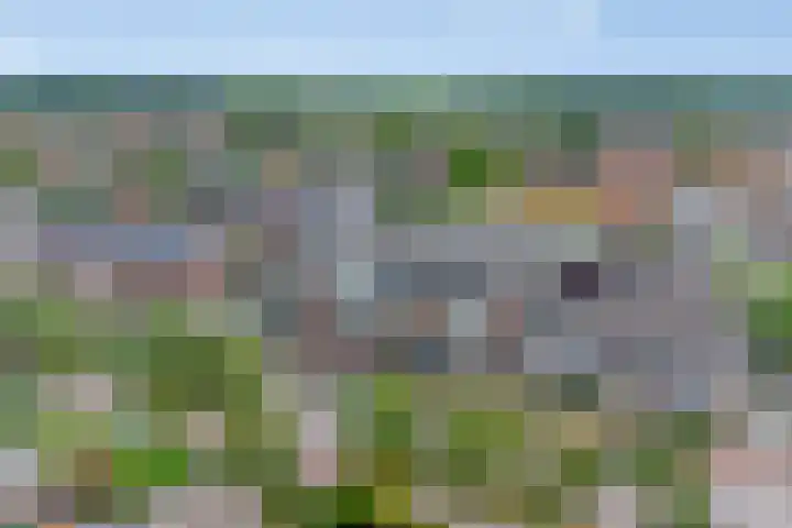 Sassenheimseweg 29 F Berlicum thumbnail 4