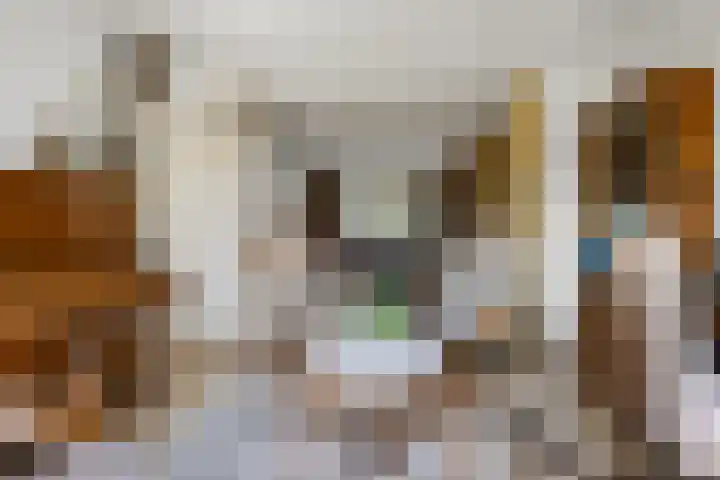 Sassenheimseweg 8 Berlicum thumbnail 11