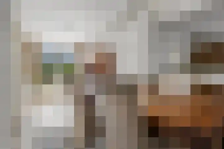Sassenheimseweg 8 Berlicum thumbnail 14