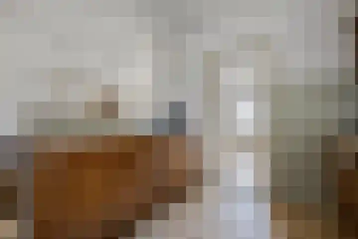 Sassenheimseweg 8 Berlicum thumbnail 16