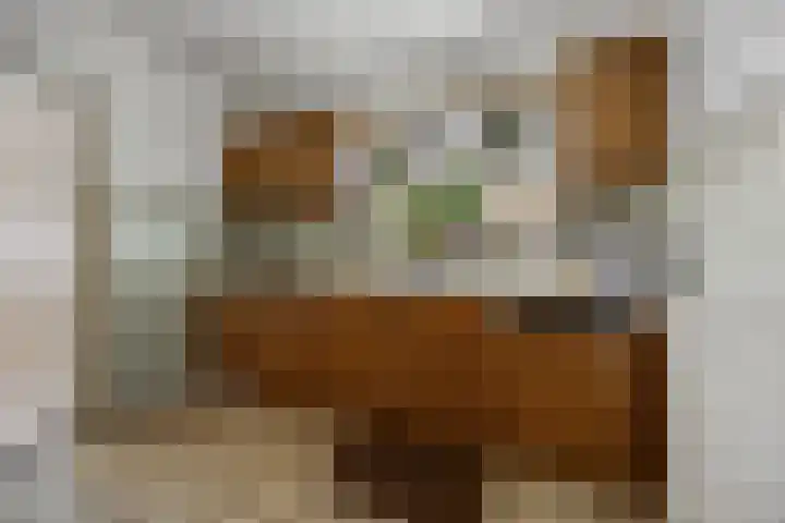 Sassenheimseweg 8 Berlicum thumbnail 17