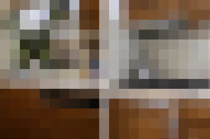 Sassenheimseweg 8 Berlicum thumbnail 18