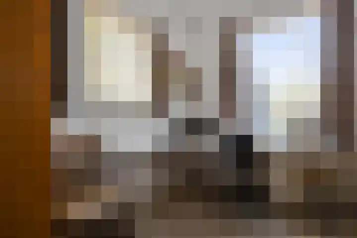 Sassenheimseweg 8 Berlicum thumbnail 19