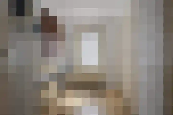 Sassenheimseweg 8 Berlicum thumbnail 21