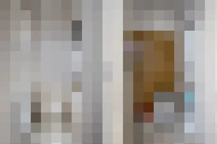 Sassenheimseweg 8 Berlicum thumbnail 22