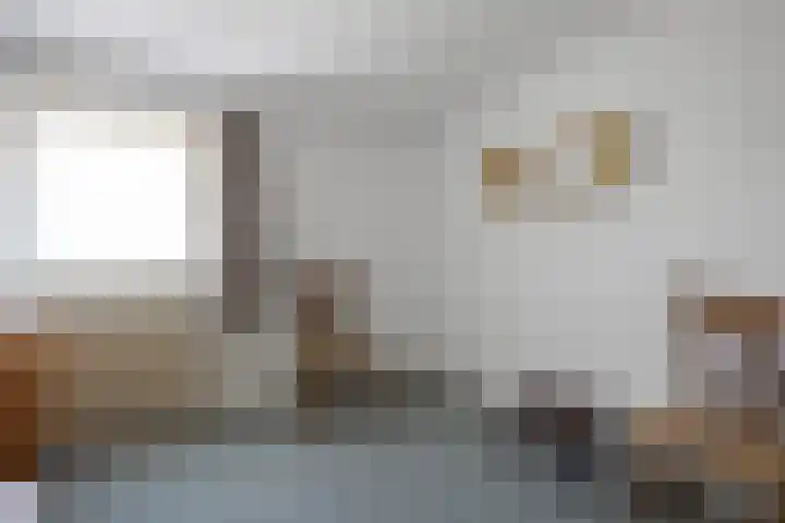 Sassenheimseweg 8 Berlicum thumbnail 27