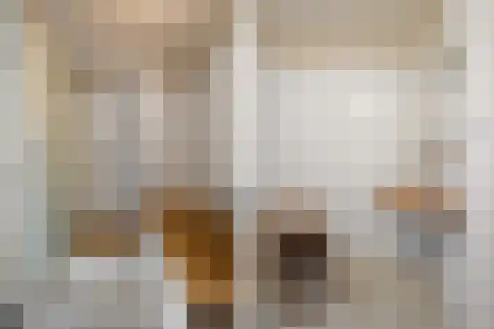Sassenheimseweg 8 Berlicum thumbnail 34