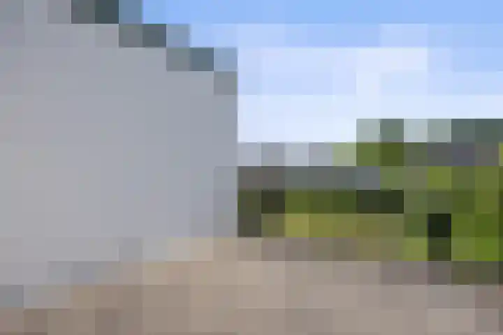 Sassenheimseweg 8 Berlicum thumbnail 38