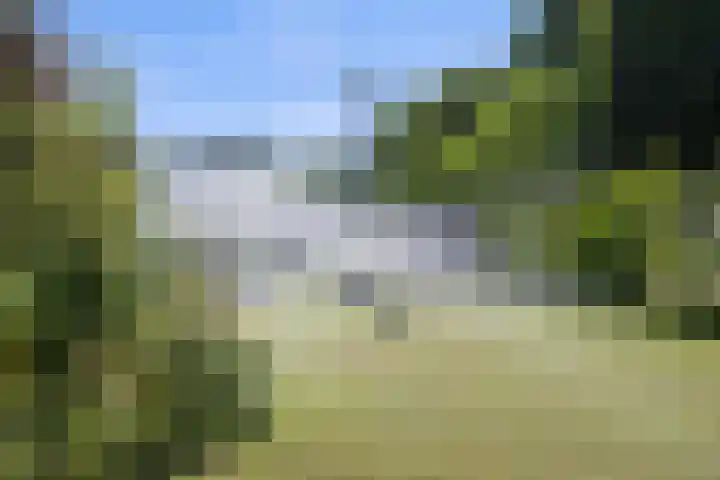 Sassenheimseweg 8 Berlicum thumbnail 4