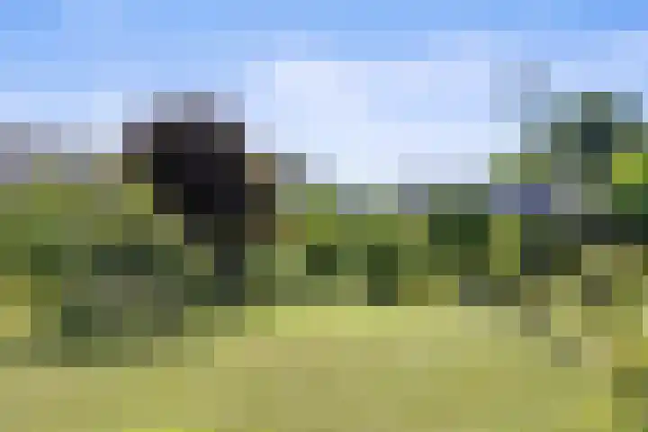 Sassenheimseweg 8 Berlicum thumbnail 41
