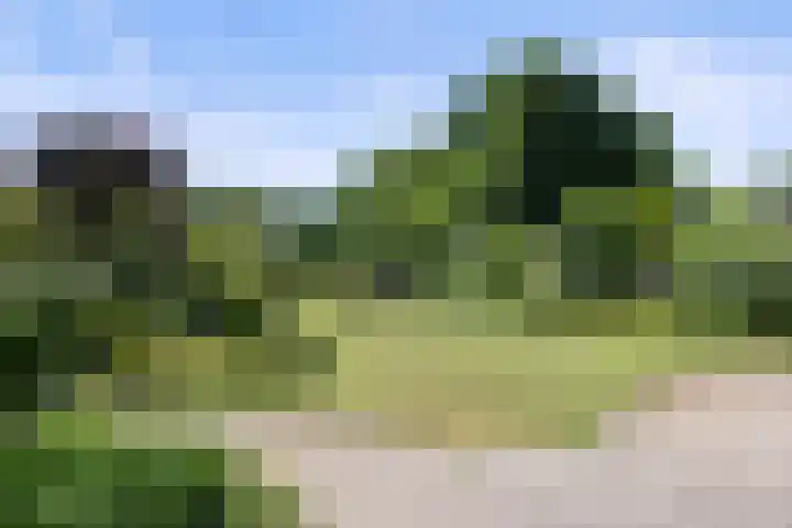 Sassenheimseweg 8 Berlicum thumbnail 43