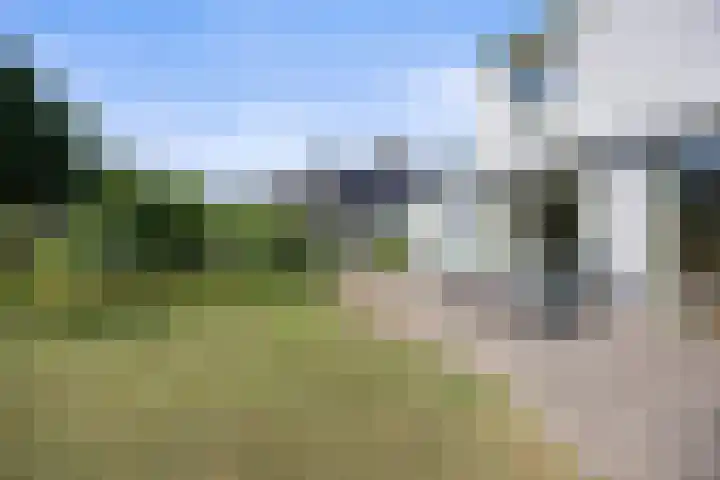Sassenheimseweg 8 Berlicum thumbnail 44
