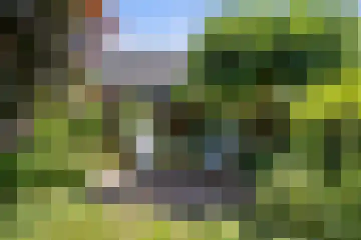 Sassenheimseweg 8 Berlicum thumbnail 45