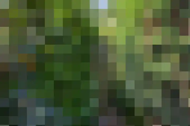 Sassenheimseweg 8 Berlicum thumbnail 46