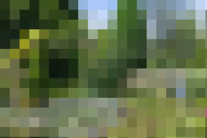 Sassenheimseweg 8 Berlicum thumbnail 47