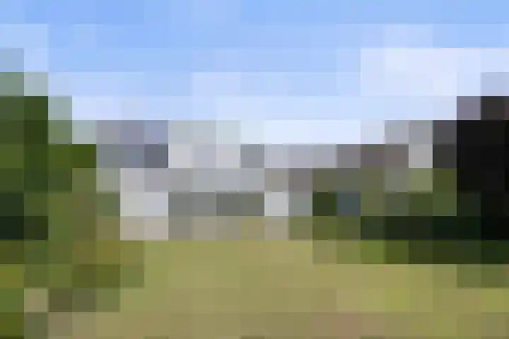 Sassenheimseweg 8 Berlicum thumbnail 48