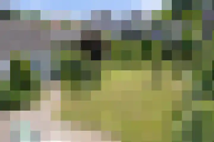 Sassenheimseweg 8 Berlicum thumbnail 50