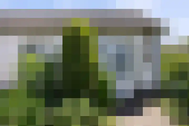 Sassenheimseweg 8 Berlicum thumbnail 51
