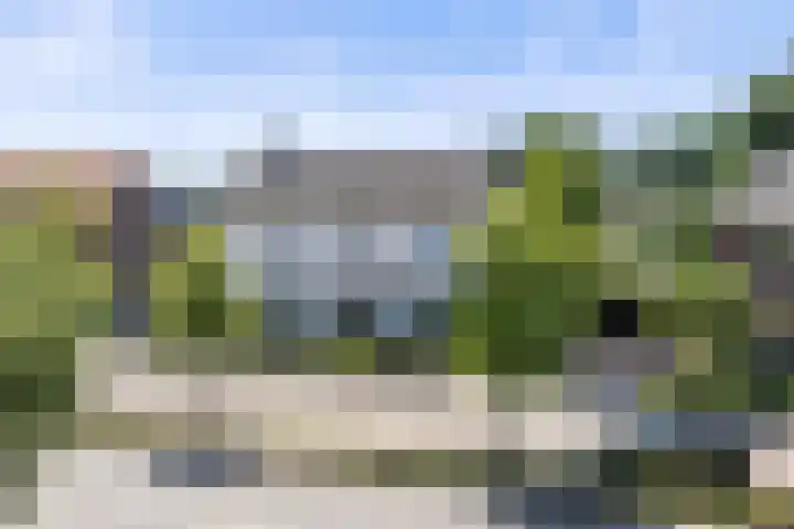 Sassenheimseweg 8 Berlicum thumbnail 58