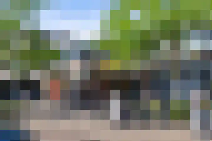 Sassenheimseweg 8 Berlicum thumbnail 60