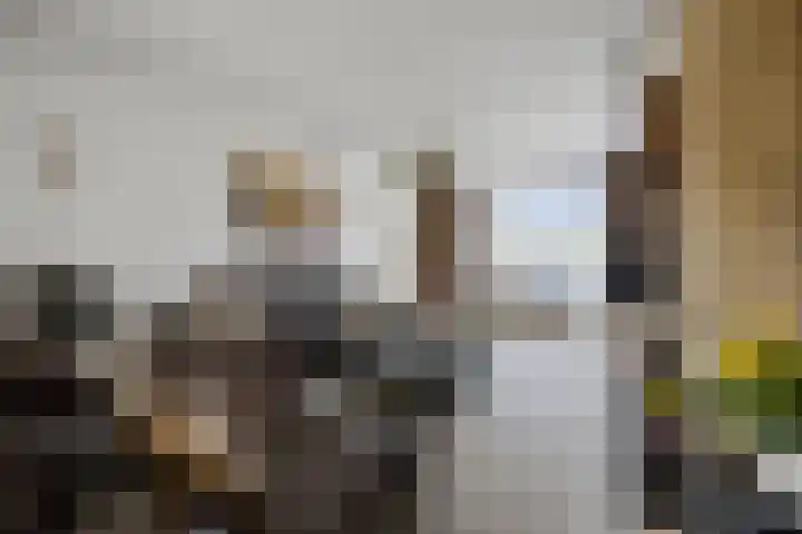 Sassenheimseweg 8 Berlicum thumbnail 7