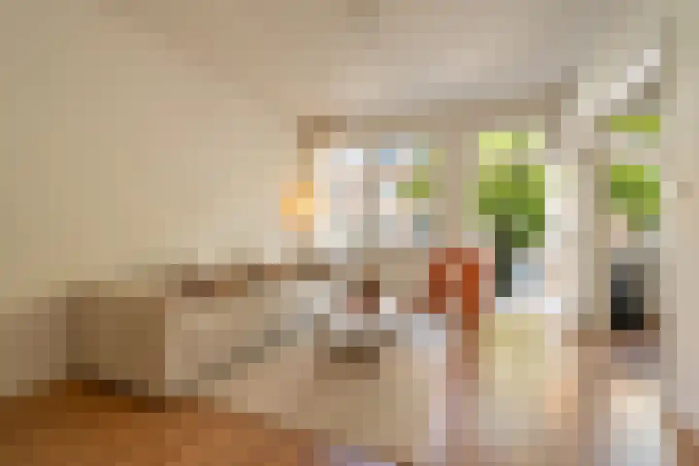 Sassenheimstraat 17 1 Amsterdam thumbnail 19