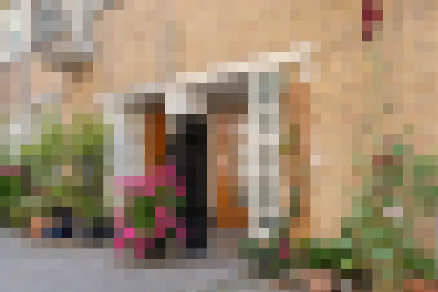 Sassenheimstraat 17 1 Amsterdam thumbnail 32