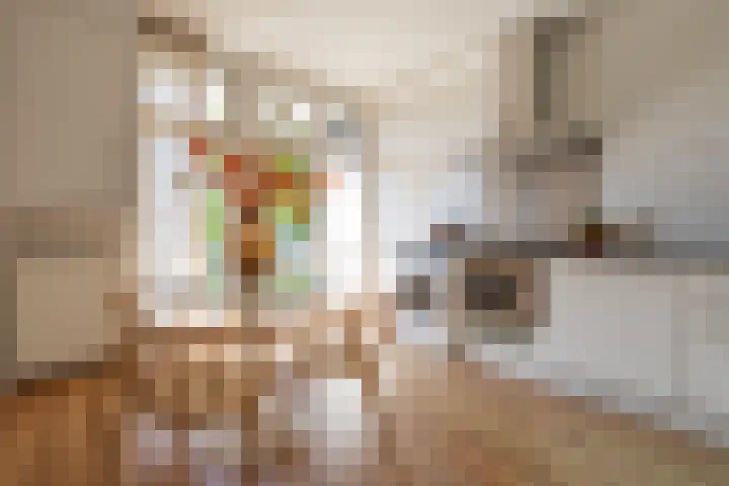 Sassenheimstraat 17 1 Amsterdam thumbnail 5