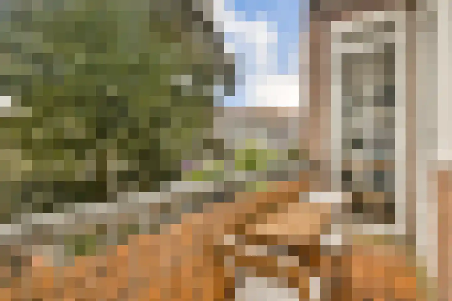 Sassenheimstraat 22 2 Amsterdam thumbnail 12