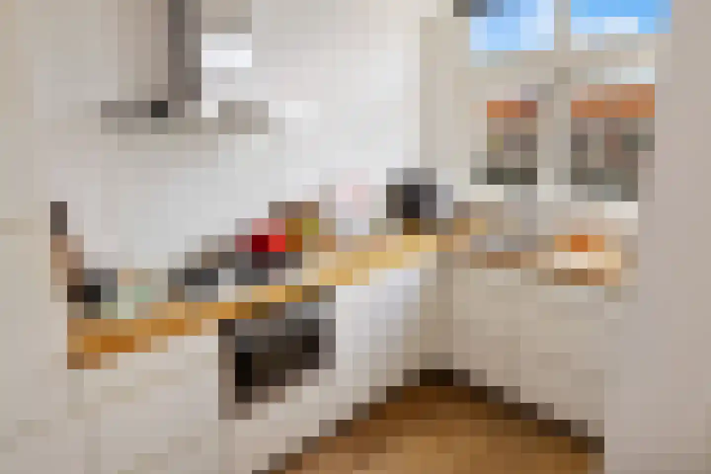 Sassenheimstraat 32 1 Amsterdam thumbnail 18