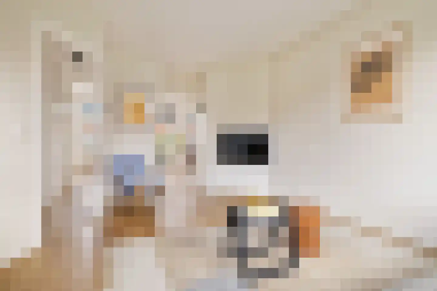 Sassenheimstraat 32 1 Amsterdam thumbnail 7