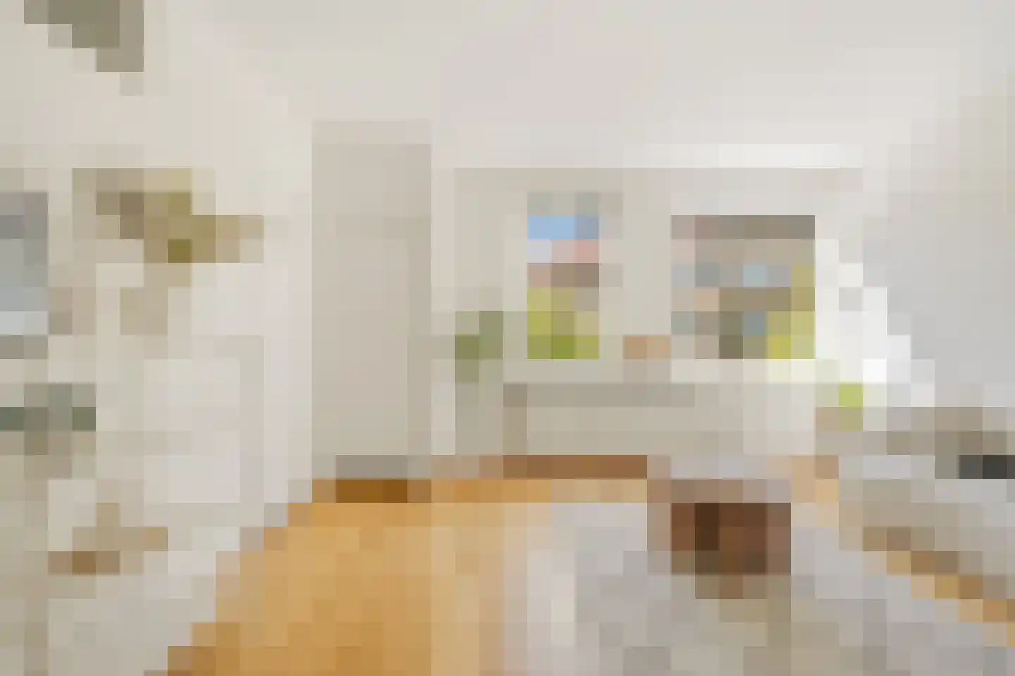 Sassenheimstraat 46 2 Amsterdam thumbnail 7