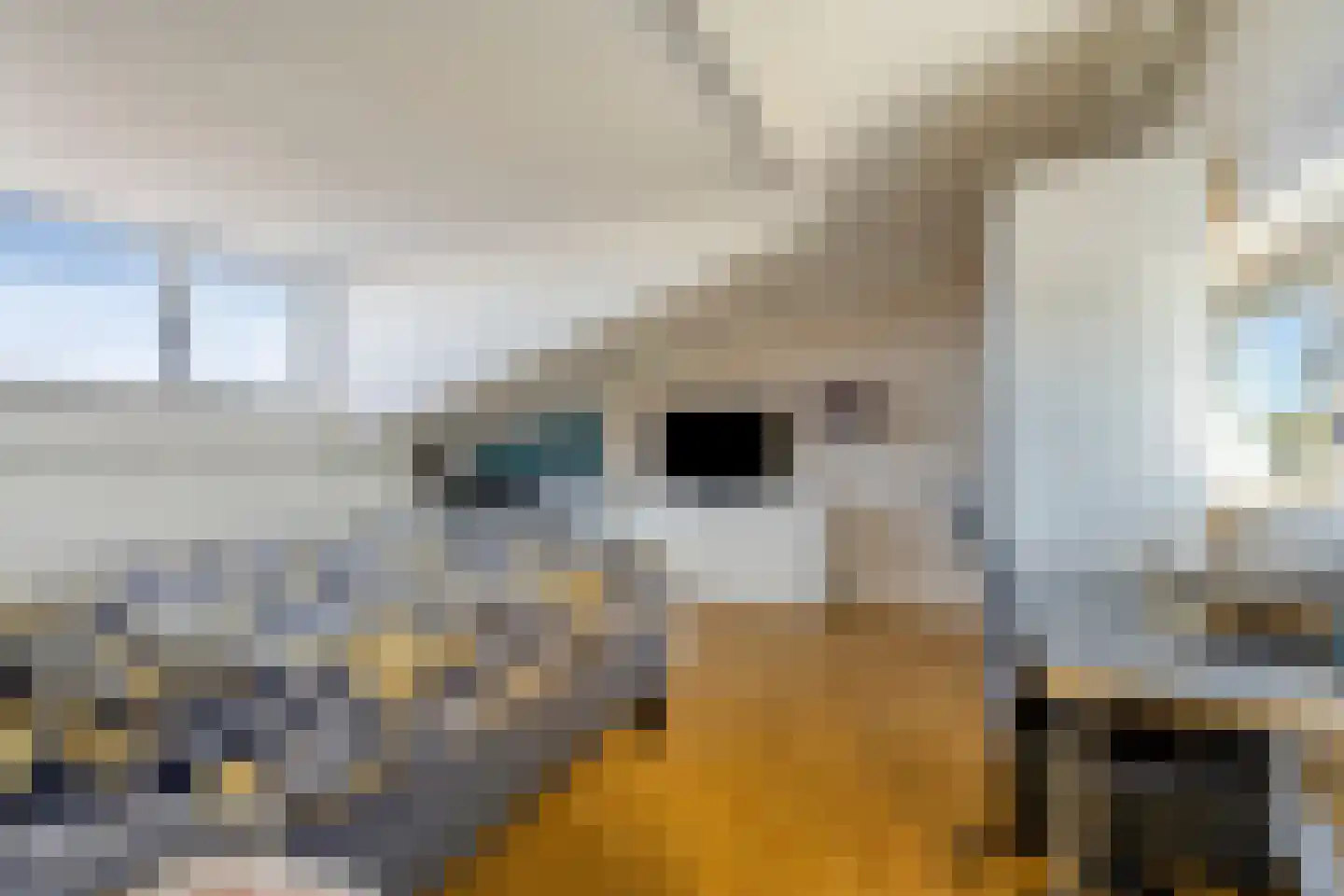 Sassenheimstraat 9 Tilburg thumbnail 31
