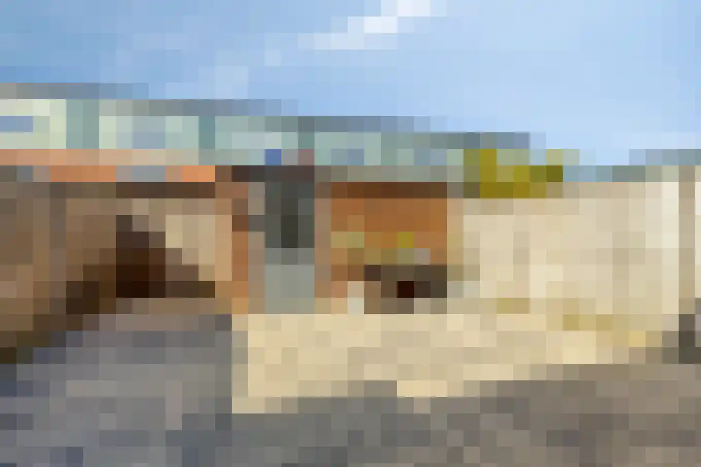 Sassenheimstraat 9 Tilburg thumbnail 35