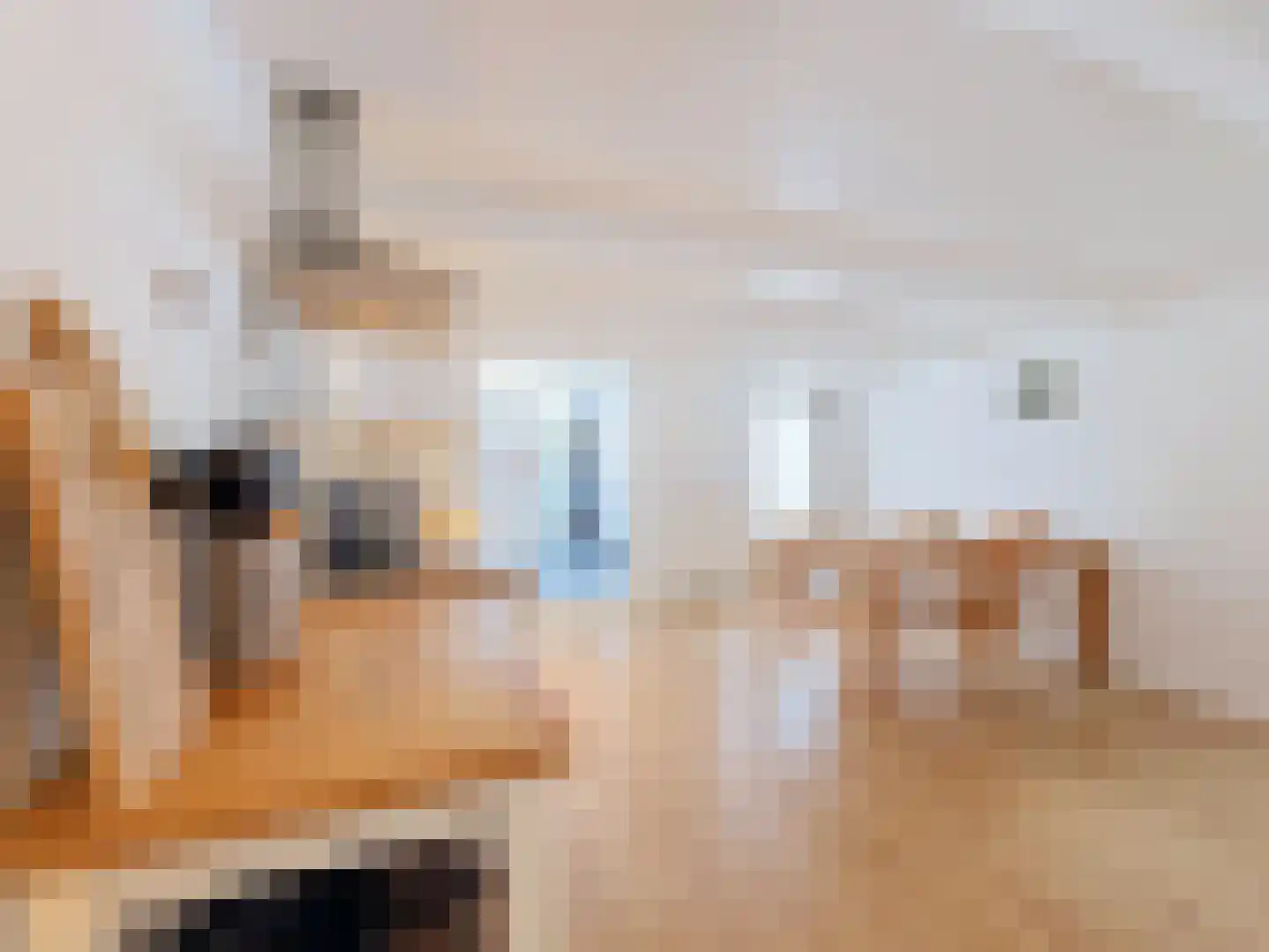 Sassenstraat 10 Aardenburg thumbnail 13