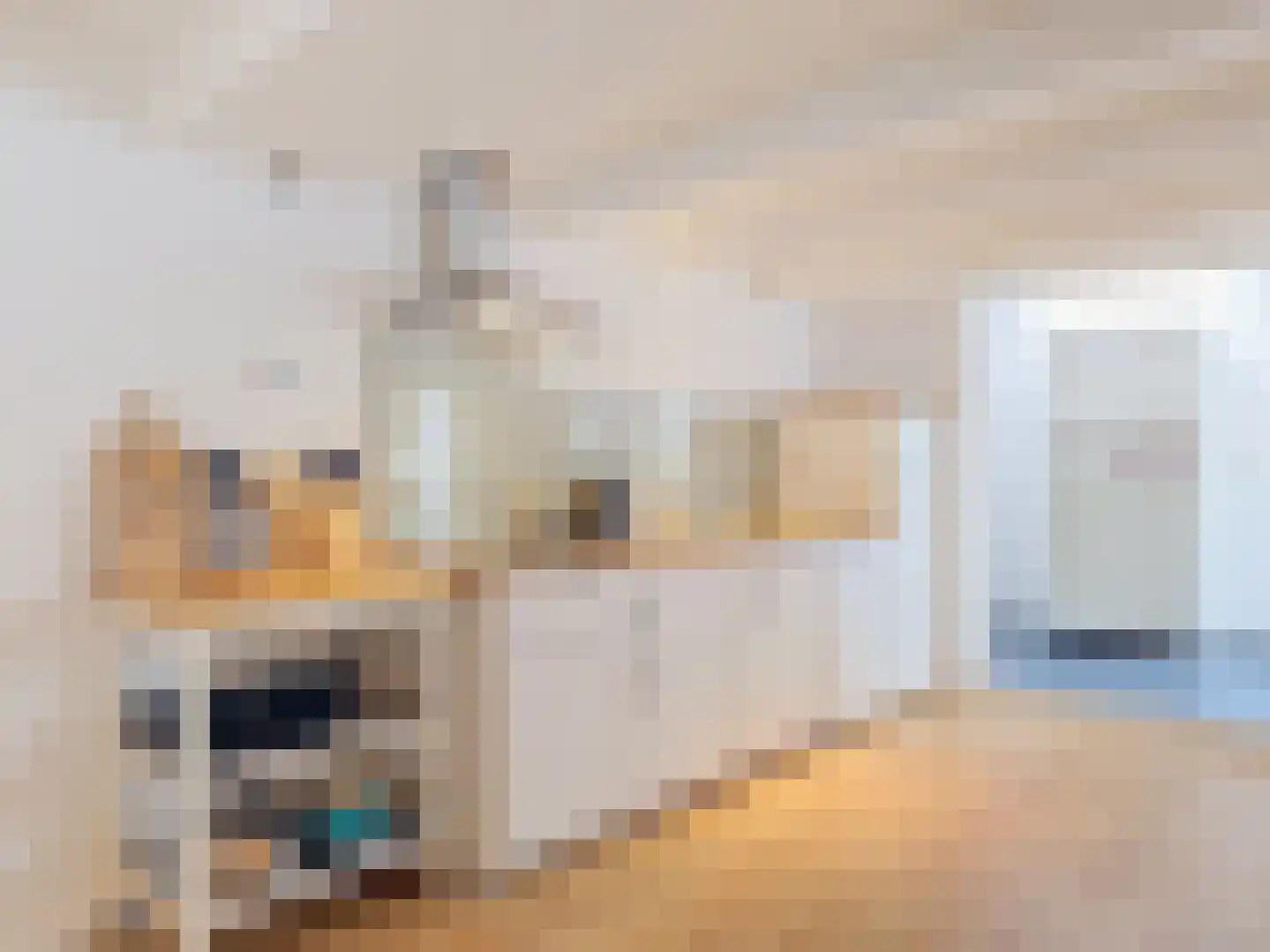 Sassenstraat 10 Aardenburg thumbnail 14