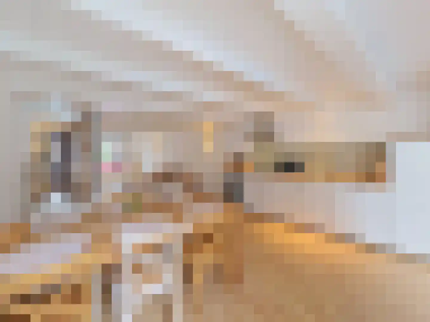 Sassenstraat 10 Aardenburg thumbnail 19