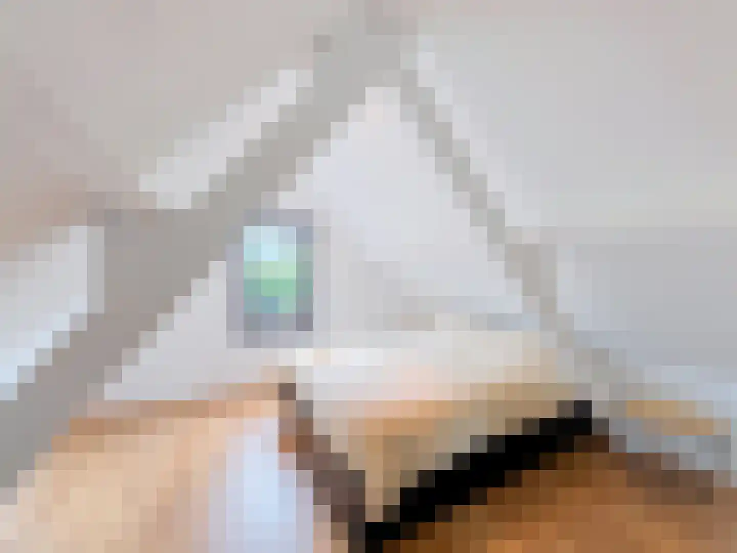Sassenstraat 10 Aardenburg thumbnail 24
