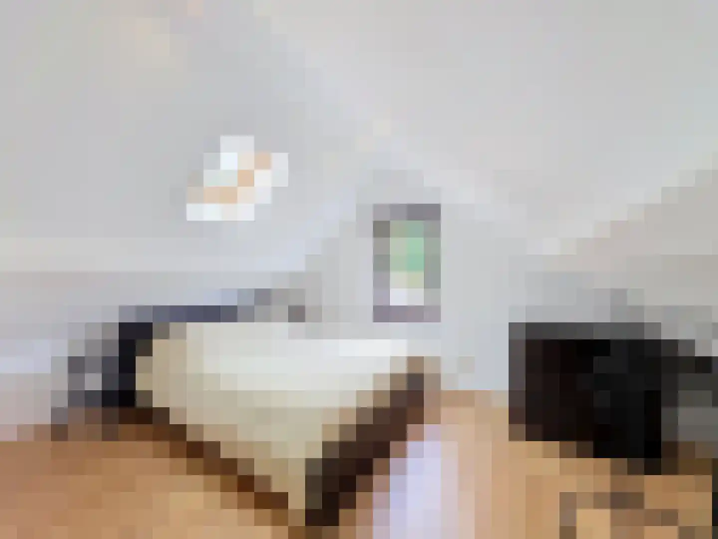 Sassenstraat 10 Aardenburg thumbnail 25